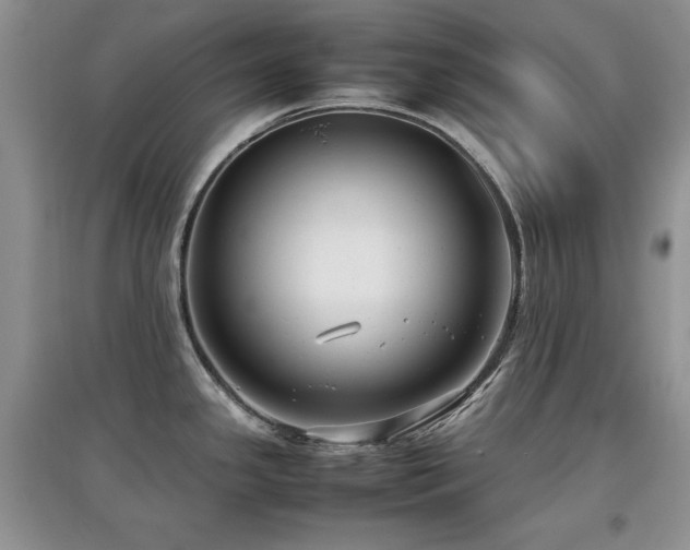 X0000097801341200803141045