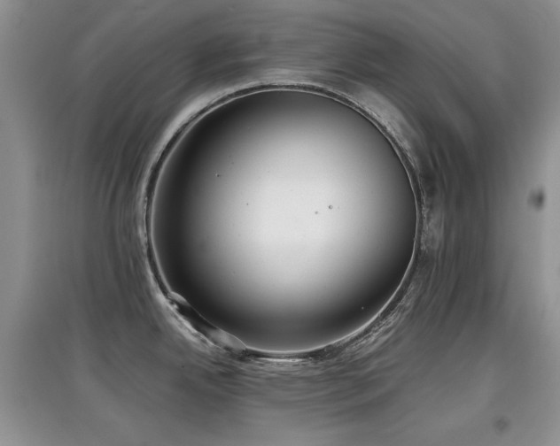 X0000097801342200803141045