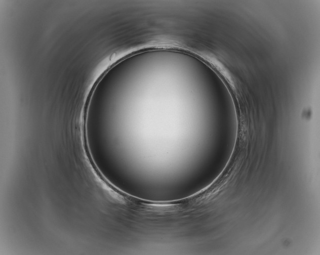 X0000097801343200803141045