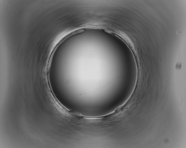 X0000097801344200803141045