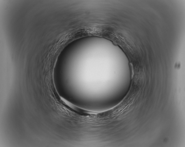 X0000097801345200803141045