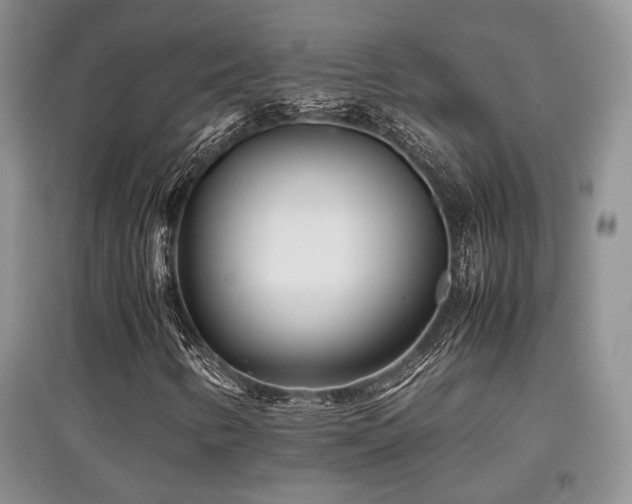 X0000097801346200803141045