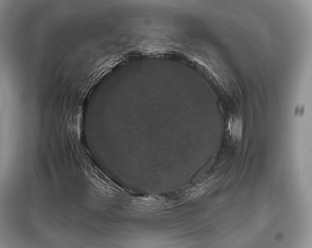 X0000097801348200803141045