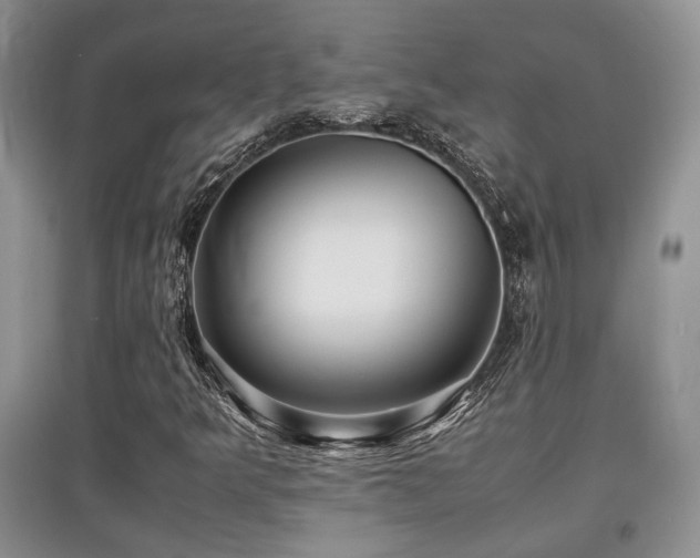 X0000097801349200803141045