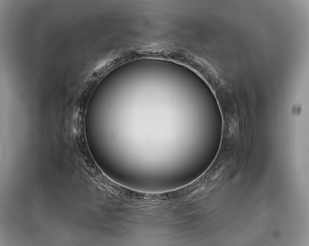 X0000097801350200803141045