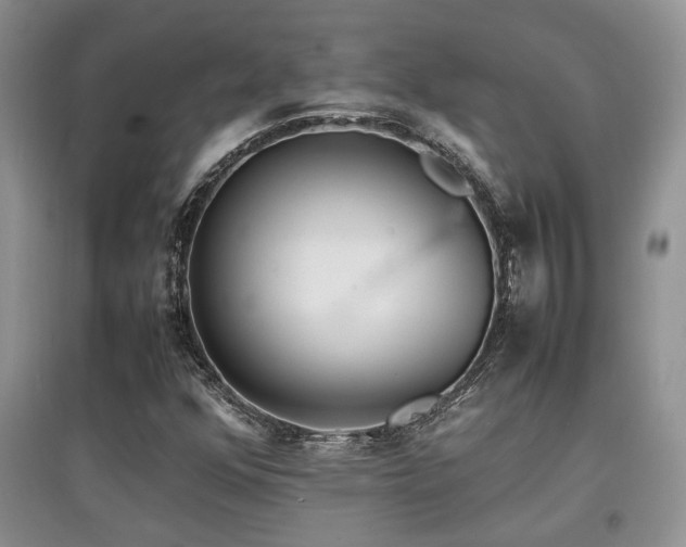 X0000097801352200803141045