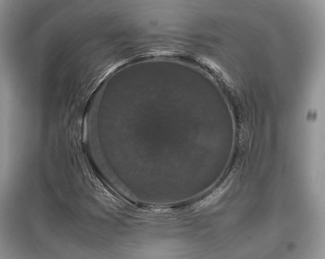 X0000097801353200803141045