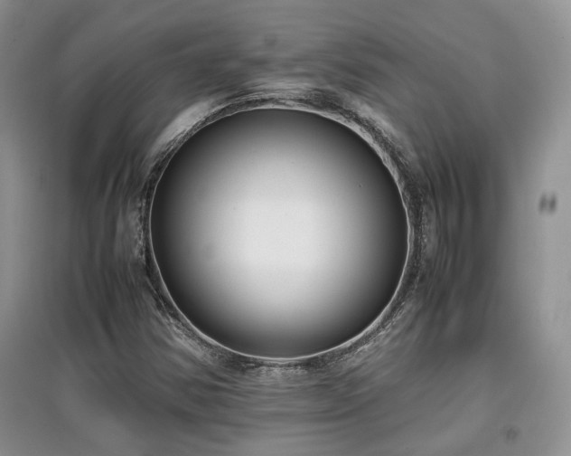 X0000097801354200803141045