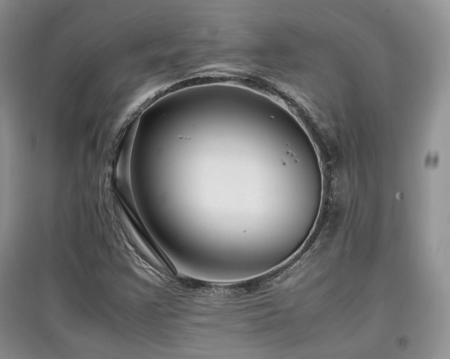 X0000097801355200803141045