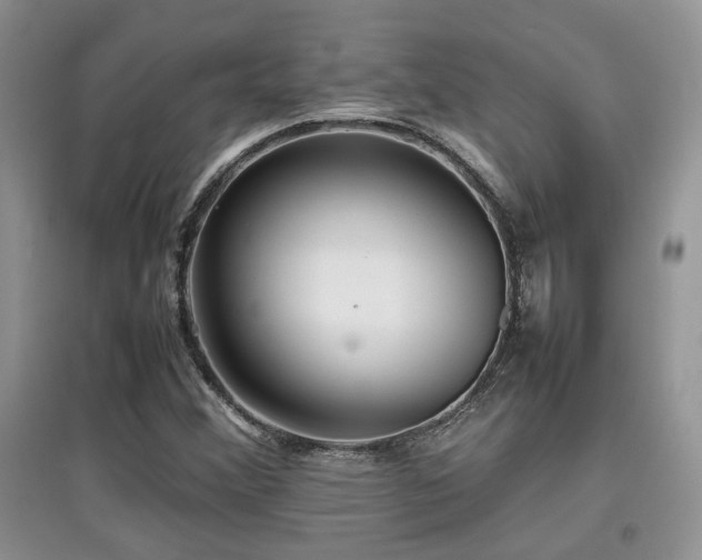 X0000097801356200803141045