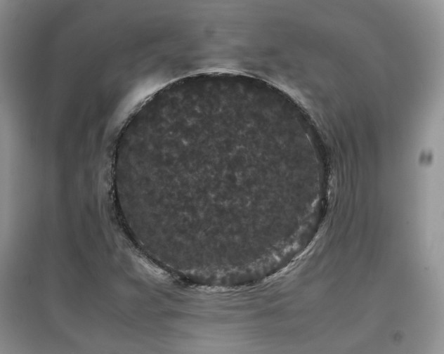 X0000097801359200803141045