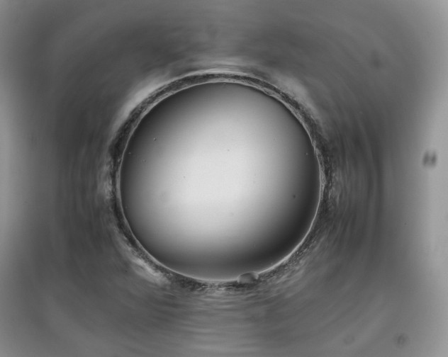 X0000097801360200803141044