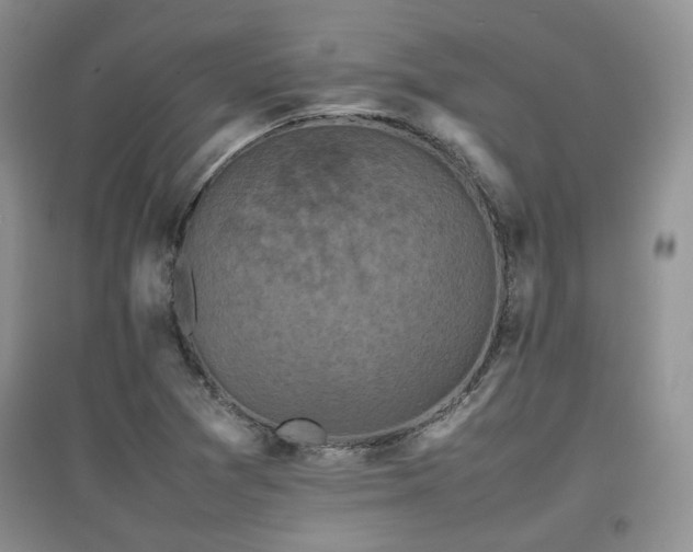 X0000097801361200803141044