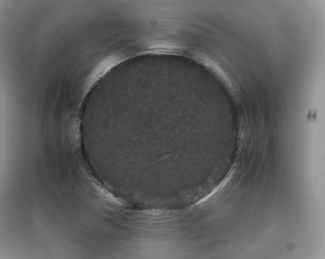 X0000097801362200803141044