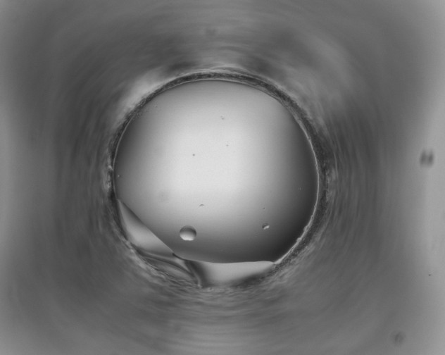X0000097801363200803141044