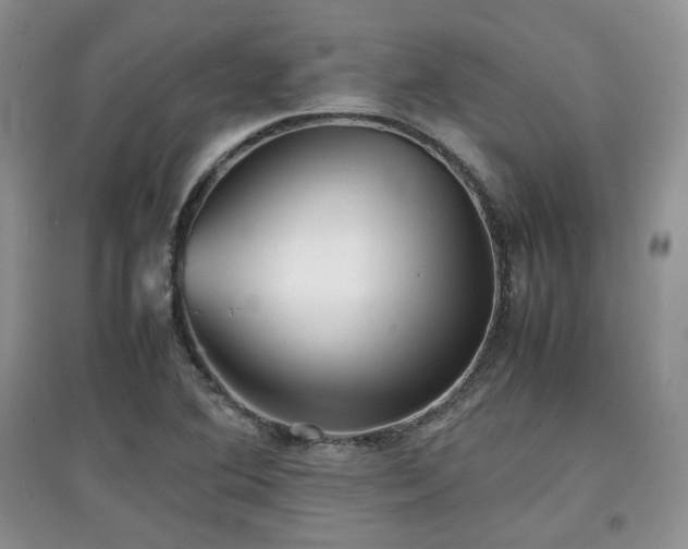 X0000097801364200803141044