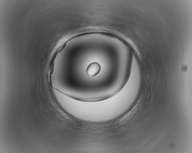 X0000097801365200803141044