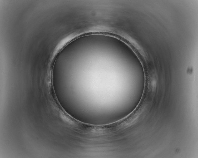 X0000097801366200803141044