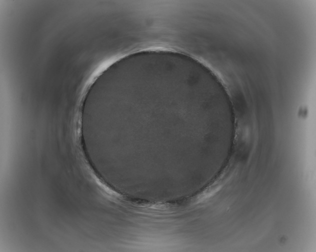 X0000097801367200803141044