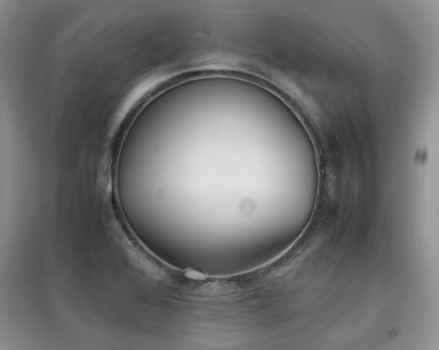 X0000097801368200803141044