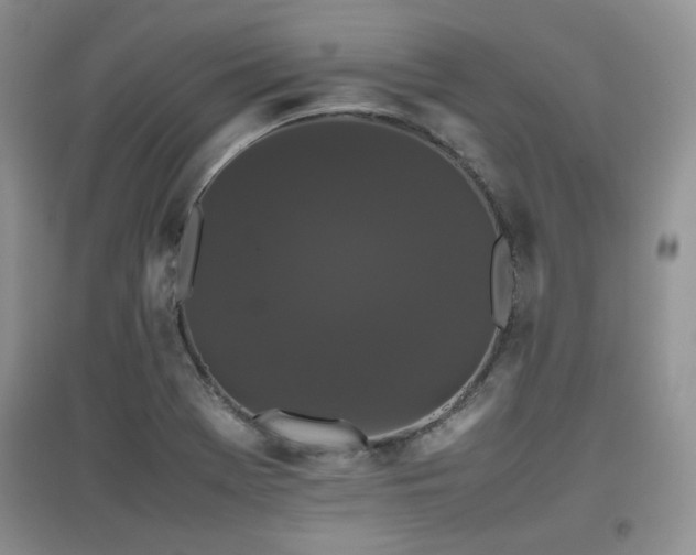 X0000097801369200803141044