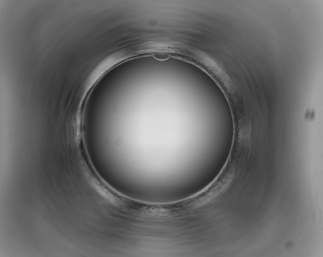 X0000097801370200803141044