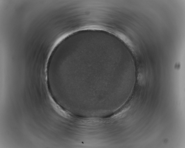 X0000097801372200803141044