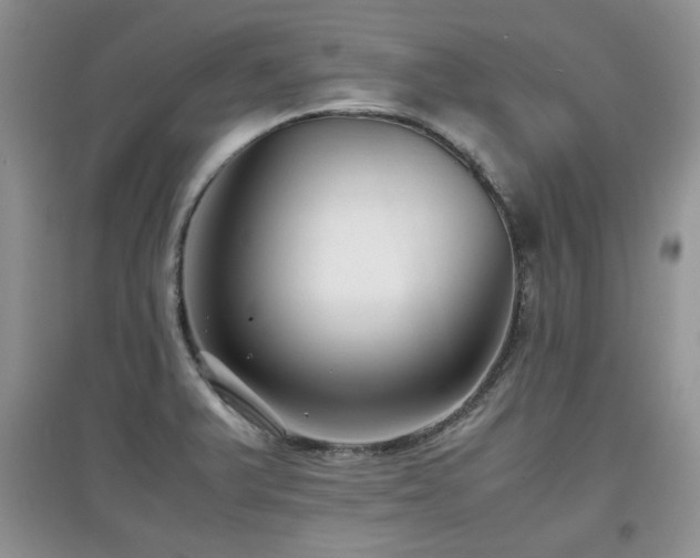 X0000097801375200803141044