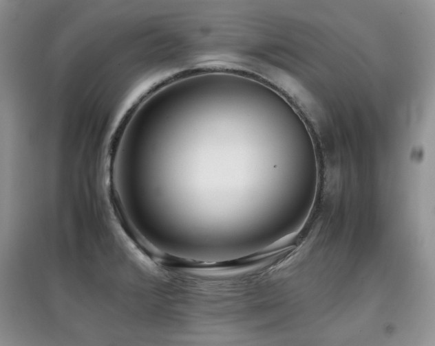 X0000097801376200803141044