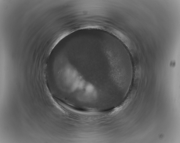 X0000097801377200803141044