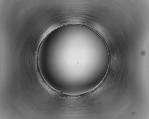 X0000097801378200803141044