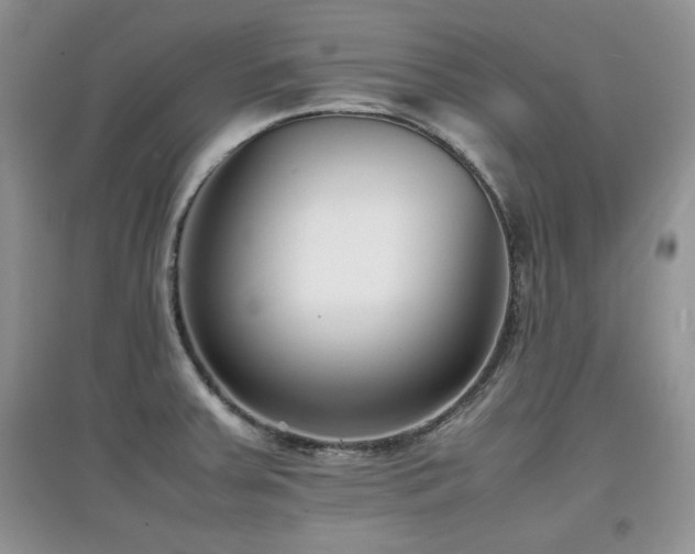 X0000097801379200803141044