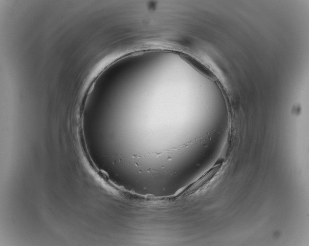 X0000097801381200803141044