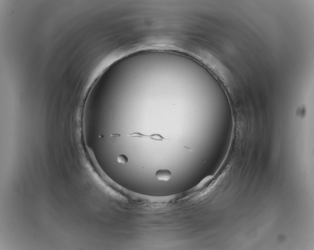 X0000097801382200803141044