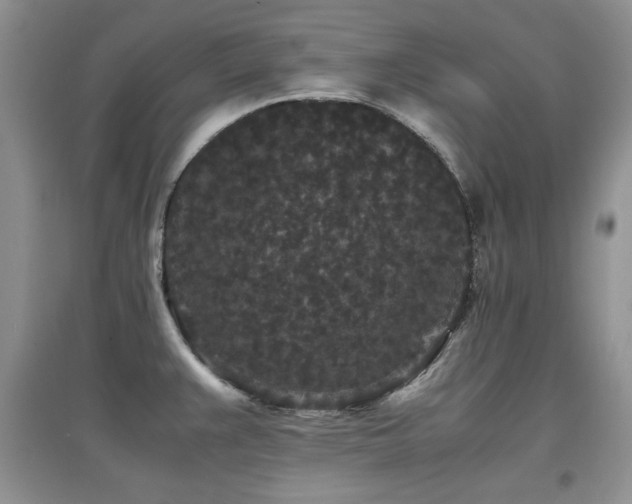 X0000097801383200803141044