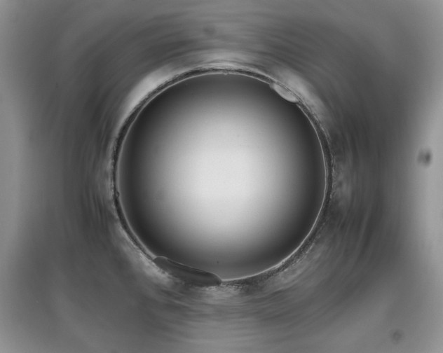 X0000097801384200803141044