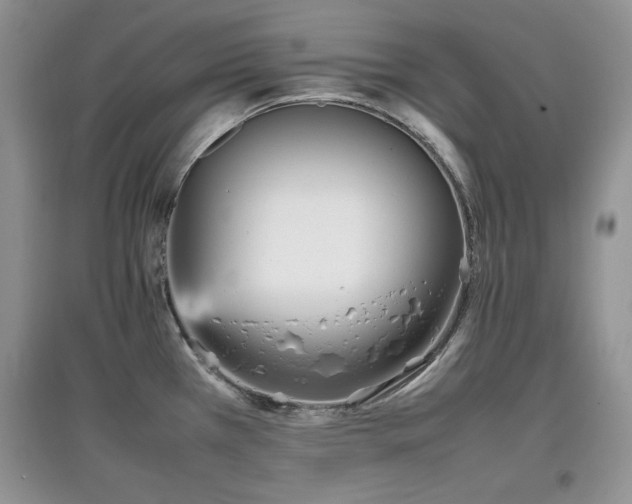 X0000097801385200803141044
