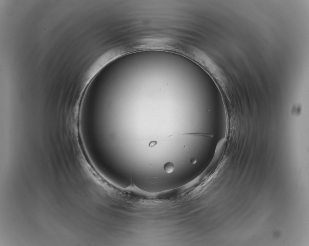 X0000097801386200803141044
