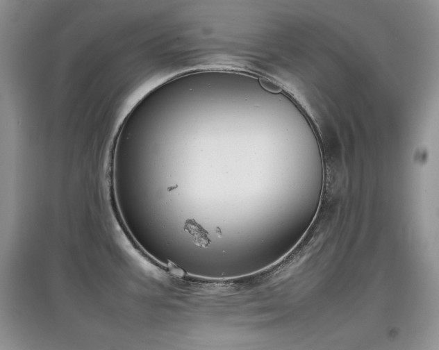 X0000097801387200803141044