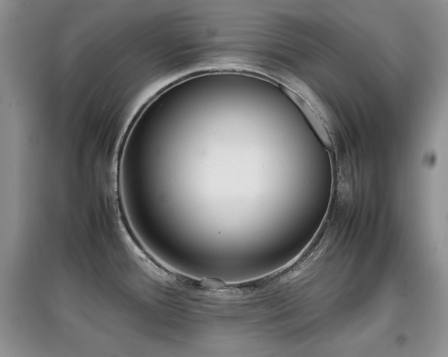 X0000097801388200803141044