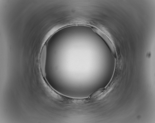 X0000097801389200803141044
