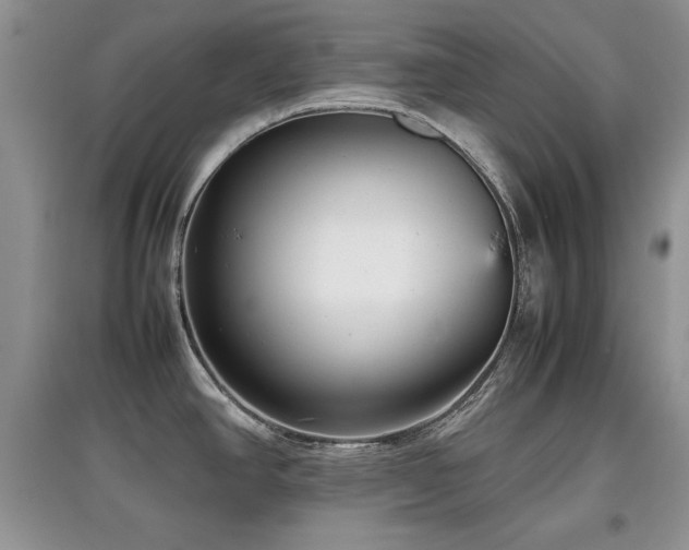 X0000097801390200803141044
