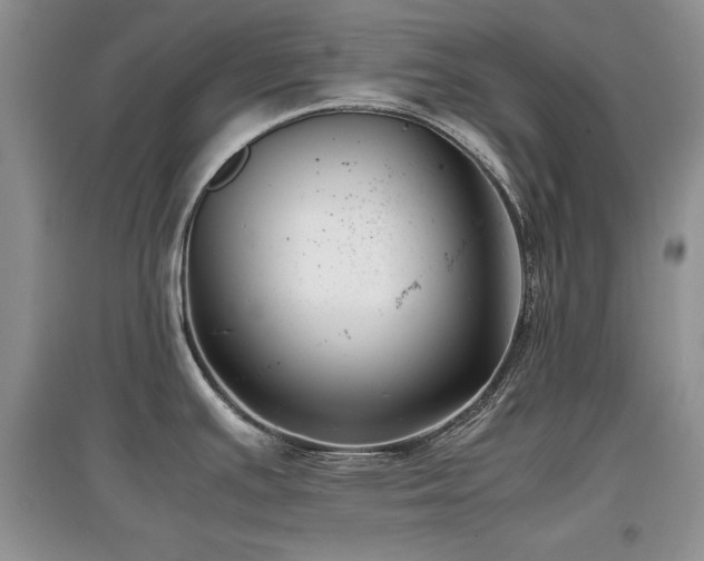 X0000097801391200803141044
