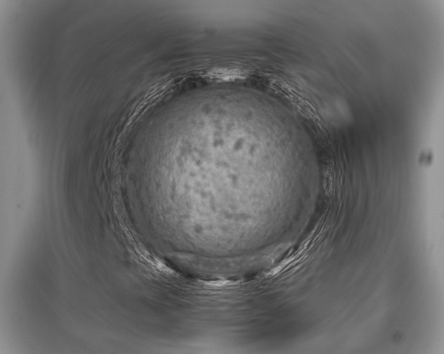 X0000097801393200803141043