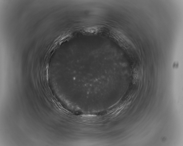 X0000097801394200803141043