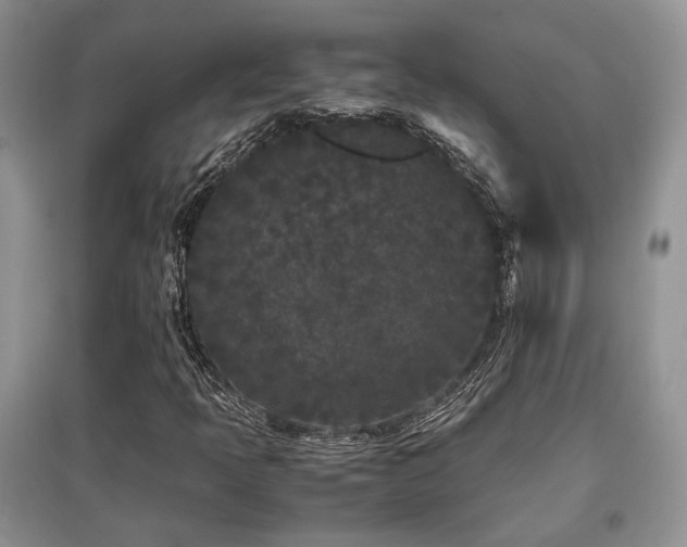X0000097801397200803141043