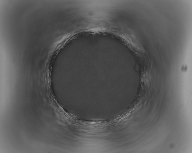 X0000097801398200803141043