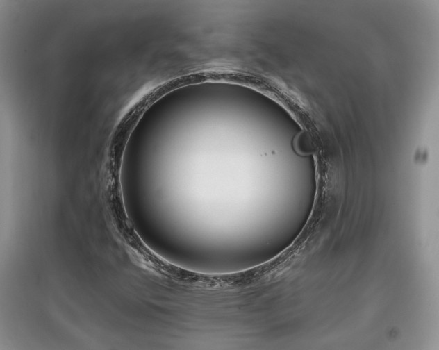 X0000097801400200803141043