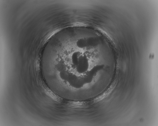 X0000097801401200803141044