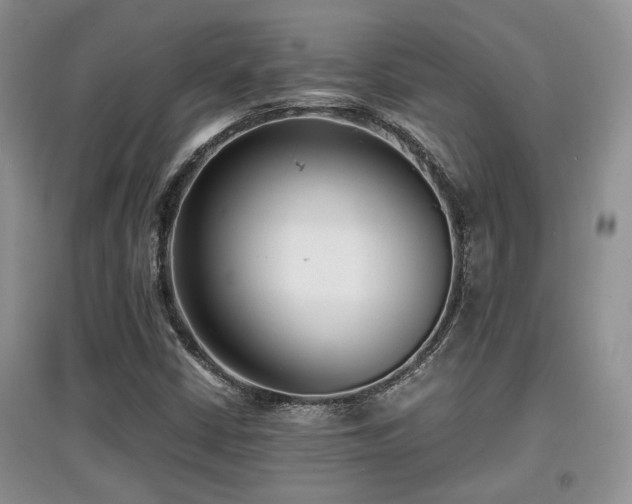 X0000097801402200803141044